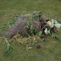 Discarded Flowers Poringland 2017