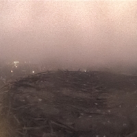 nest evening