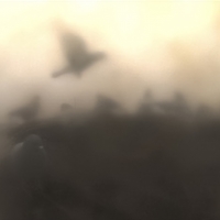 pigeon diptych left