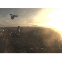 pigeon triptych 2