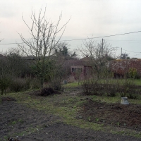 14 Vegetable Garden II late afternoon Cantly 2008