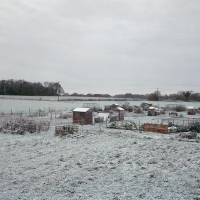 Allotments Saxlingham Nethergate 2015