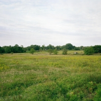 Meadow Poringland 2005