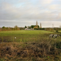 Paddock Ditchingham 2011