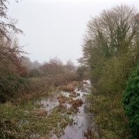 River Bungay 2010