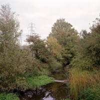 River Trowse 2009