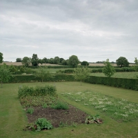 Vegtable Garden Topcroft 2015